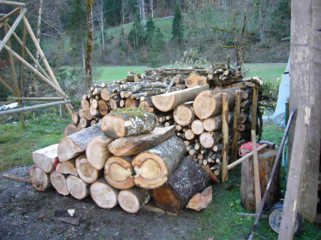 2012 brennholz 1